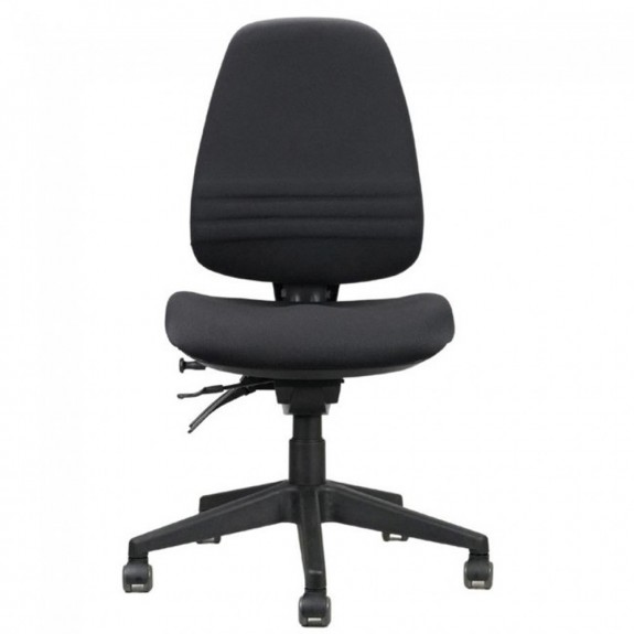 Endeavour Pro Ergonomic Chair