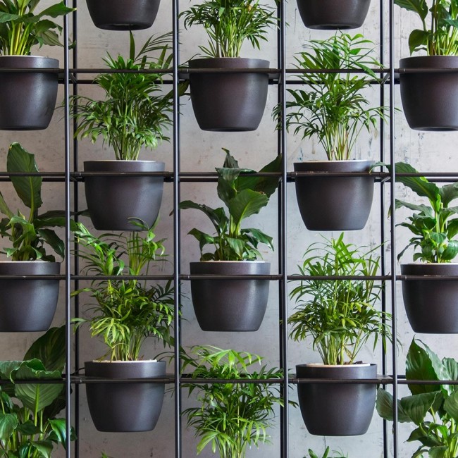 Vertical Garden Freestanding Green Wall System Apex