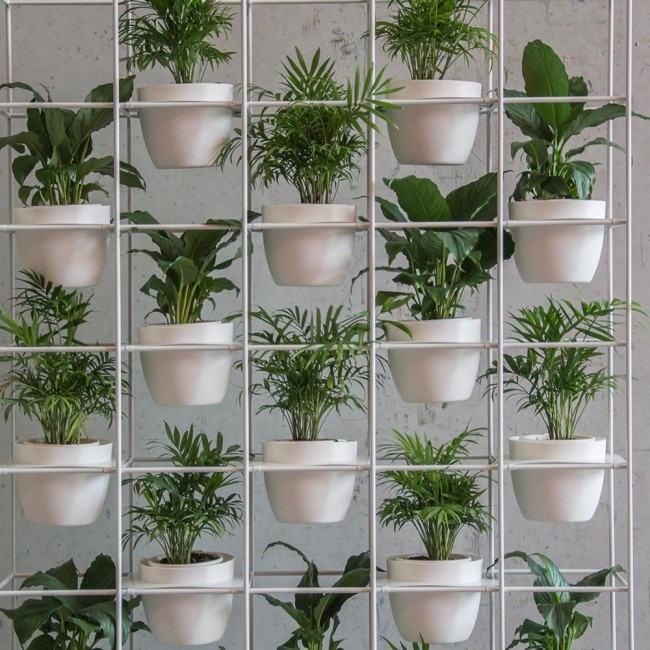 Vertical Garden Freestanding Green Wall System | Apex