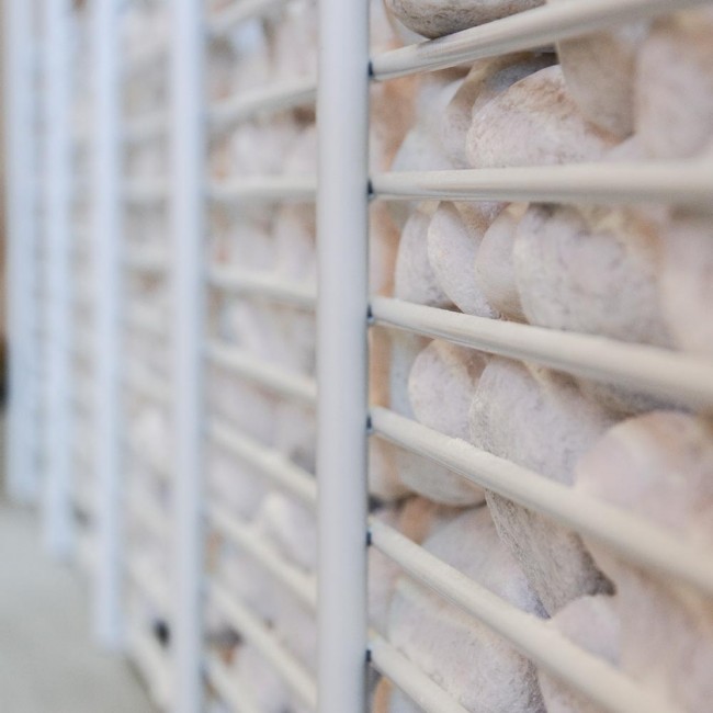 Vertical Garden Freestanding Green Wall System Apex