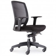 Halo Ergonomic Mesh Back Office Chair with Armrests
