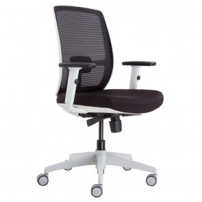 Iris Fully Ergonomic Office Chair