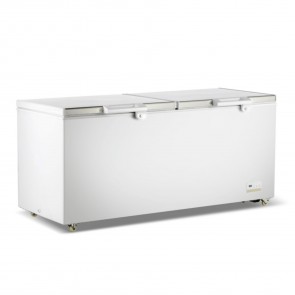 Thermaster 600L Chest Freezer with Stainless Steel Lid BD600F
