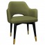 Bella Tub Chair Brass Legs