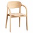 Bentwood Linia Arm Chair B-2324