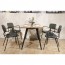 Capri Leather Dining Arm Chair
