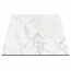 Compact Laminate Table Top with Contrasting Edge