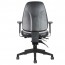 Endeavour Pro Ergonomic Chair