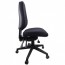 Endeavour Pro Ergonomic Chair