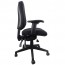 Endeavour Ergonomic Chair