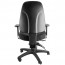 Endeavour Pro Ergonomic Chair