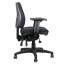 Ergonomics Midi Chair