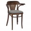 Fan Back Bentwood Arm Chair Upholstered
