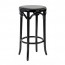 Bentwood Kitchen Counter Stool with Padded Seat 