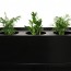 GO Planter Boxes