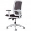 Luminous Promesh Operator Office Chair LUMINOUS TASK
