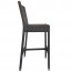 Mia Rattan Wicker Outdoor Bar Stool with Backrest