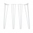 Hairpin Legs Set of 4