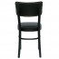 Novo Bentwood Chair A-9610/1