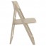 Outdoor Foldable Event Chair