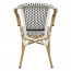 Paris Wicker Outdoor Arm Chair
