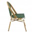Niece Wicker Outdoor Green & White Chair