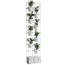 Vertical Garden Green Wall Column