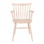 Windsor Dining ArmChair - Whitewash