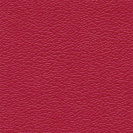 Rasberry