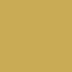 Gold Frame